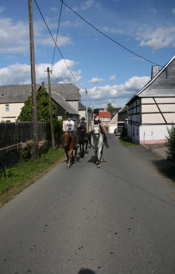 Pferd - Spass - Entspannung Apartment *
