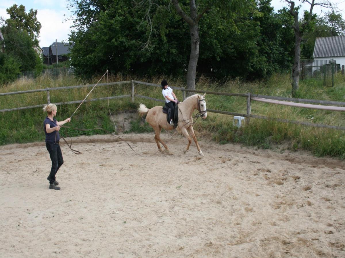 Pferd - Spass - Entspannung *