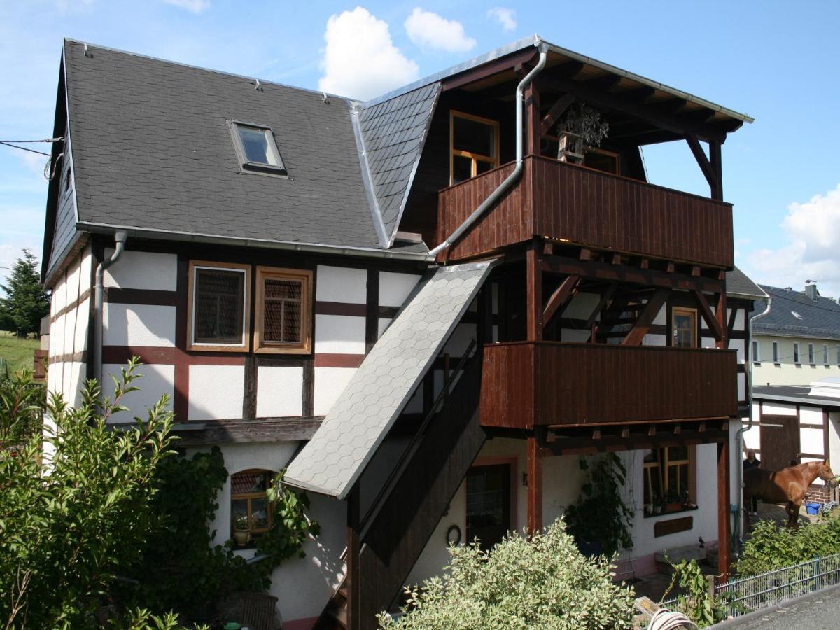 Pferd - Spass - Entspannung