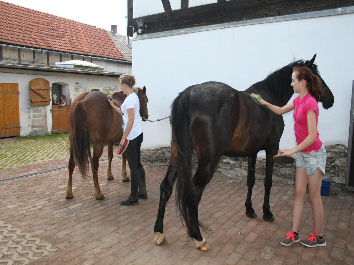 Pferd - Spaß - Entspannung * Staitz