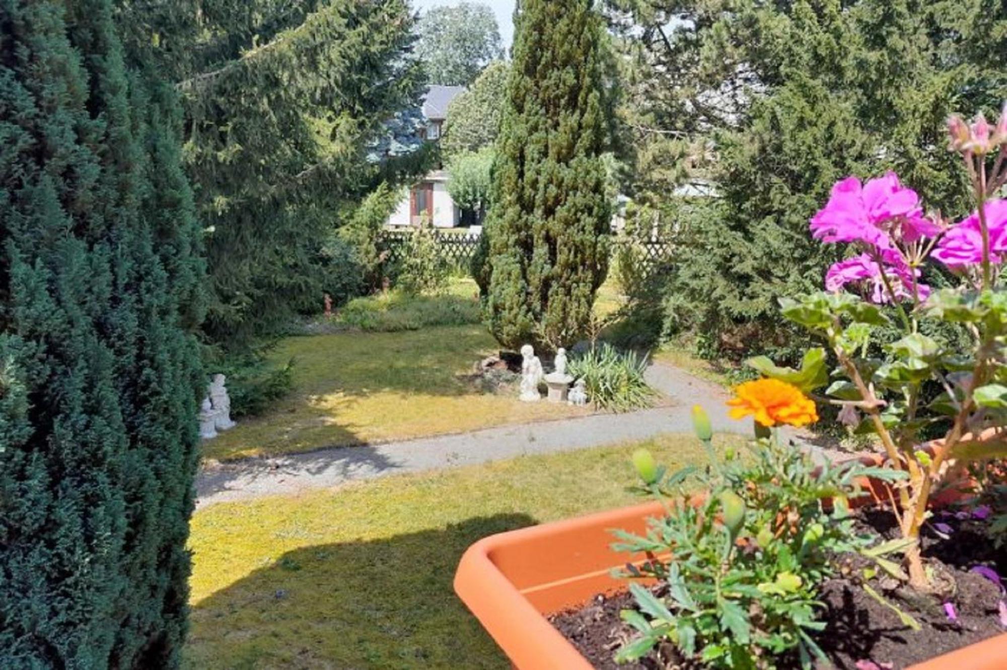 Apartment Pferd - Spass - Entspannung Staitz